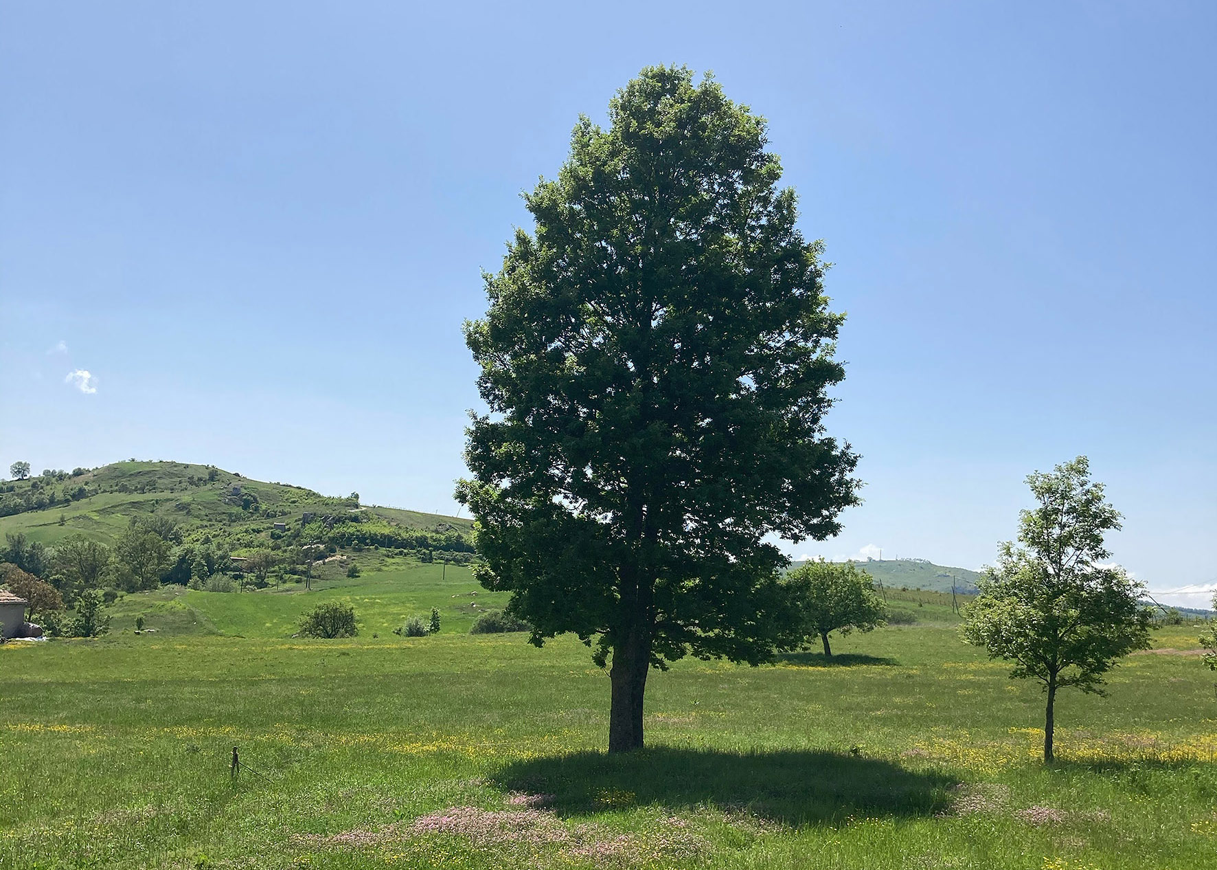 Il Rifugio delle Stelle - 5